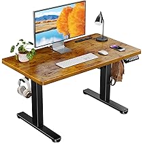 【開封済　未使用品】ErGear 電動 昇降式デスク ロータイプ　幅120cm 714+emfWkIL._AC_UL210_SR210,